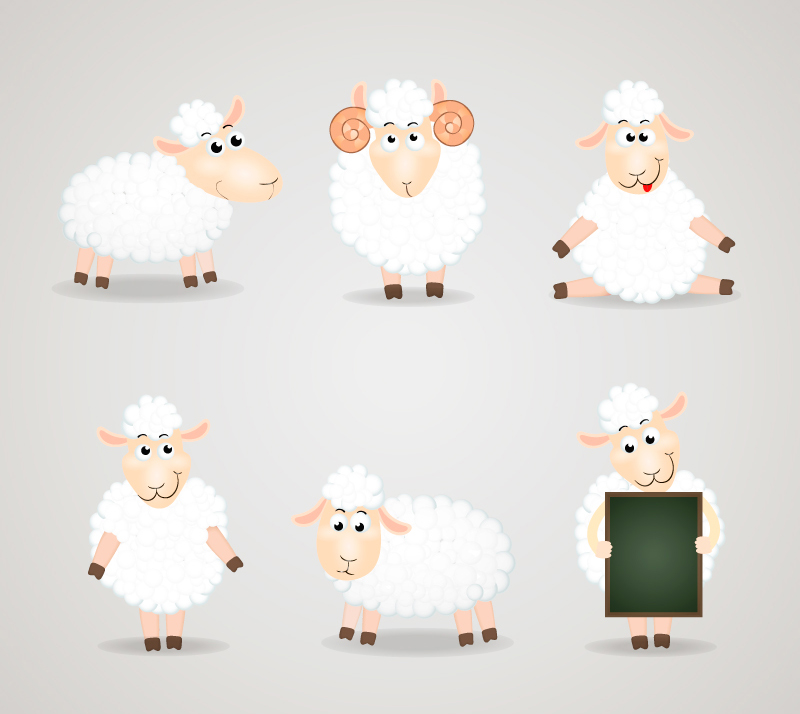 6 dibujos animados en blanco de material de vectores ovejas