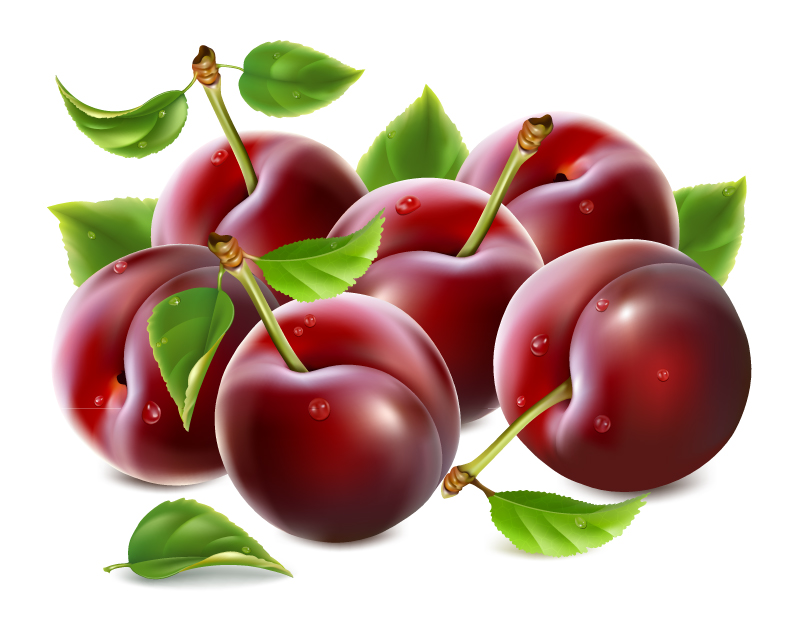 Material de diseño vectorial rojo cereza deliciosa