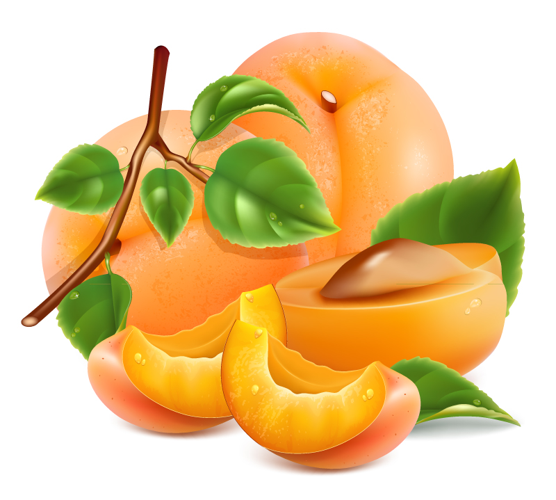 Material de diseño vectorial melocot車n delicioso