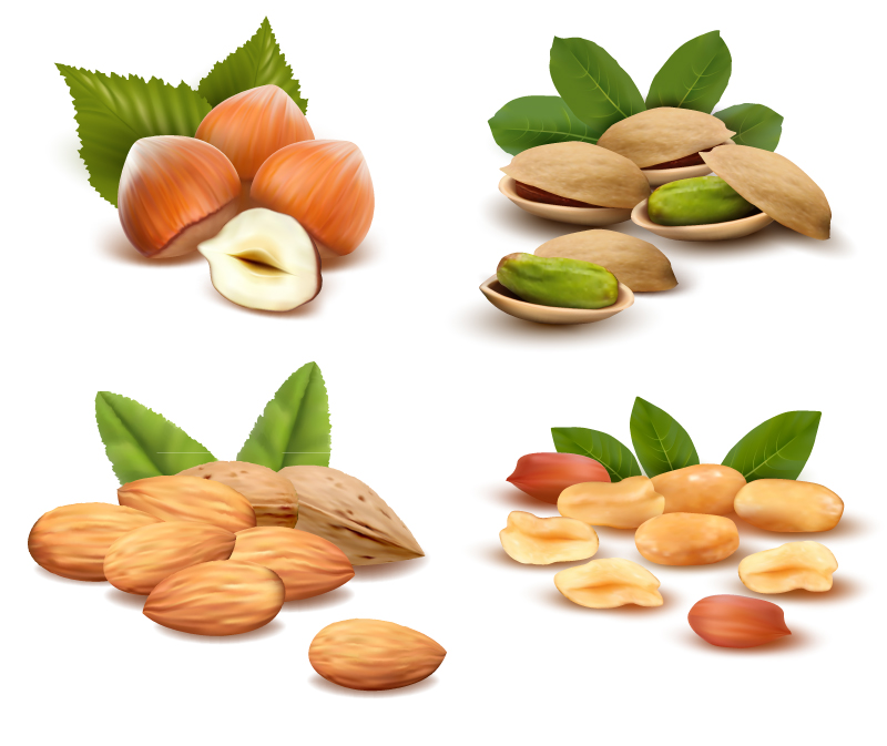4 delicioso refrigerio vector material frutos secos