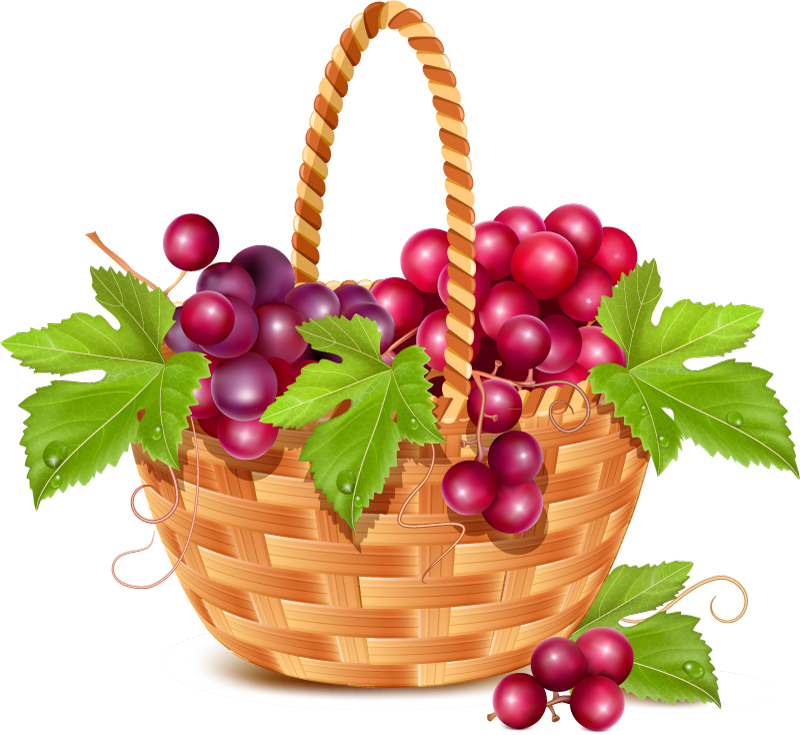 Cesta de frutas en el material de uva vector
