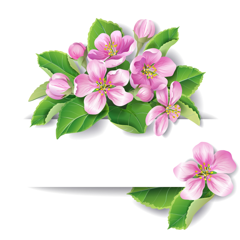Flores rosadas bandera vector de material muy bien decorado