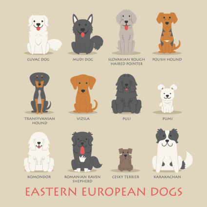 12 material de diseño vectorial perro de dibujos animados de Europa del Este
