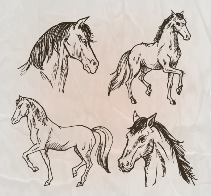 4 material de diseño vectorial caballo pintado a mano
