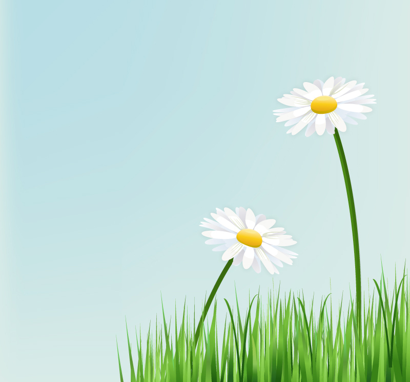 Material de crisantemo blanco vector Hermosa