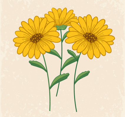 Hermosa vector de material margaritas amarillas