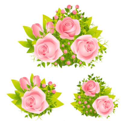 Grupo 3 hermosas rosas de color rosa vector material