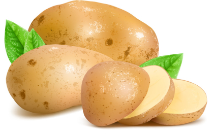 Patatas frescas y rodajas de material de vectores