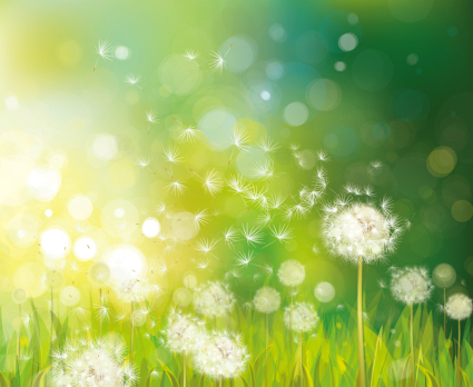 Flores de diente de le車n materiales fantas赤a del vector