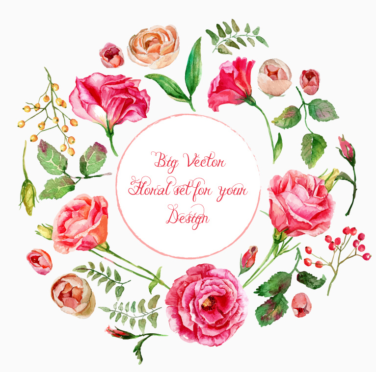 Hermosas flores de verano de dibujo vectorial