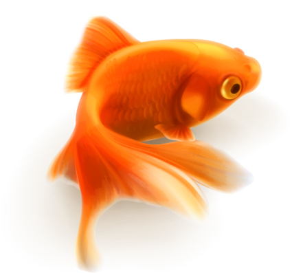 Diseño realista vector de material Goldfish