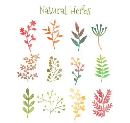 12 acuarela Tree Branch vector material
