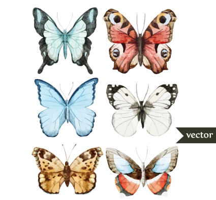 6 mariposa hermosa acuarela Vector