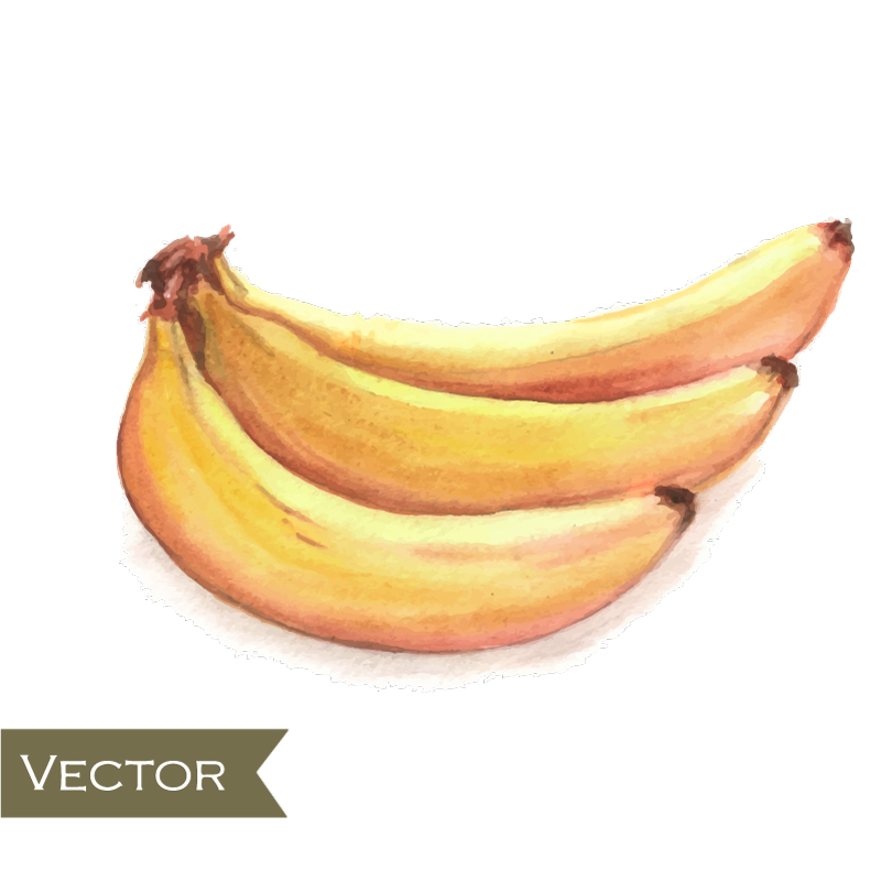 Vector de material pl¨¢tanos amarillos Delicioso