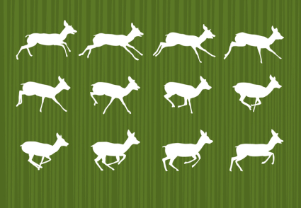 12 blanco ciervos corriendo silueta vector material