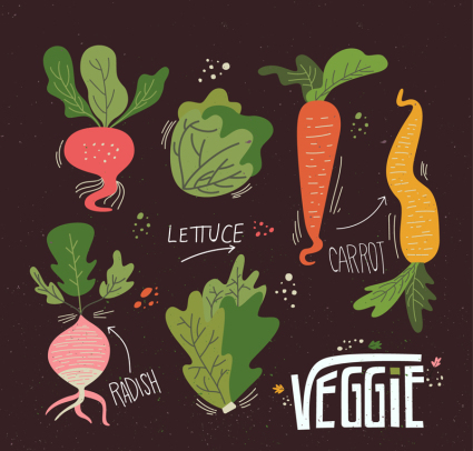 6 verduras de color del vector del diseño