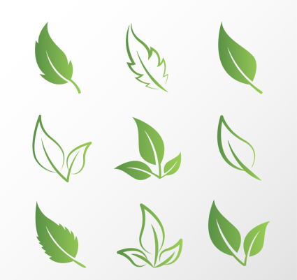 9 diseño creativo hojas de material de vectores