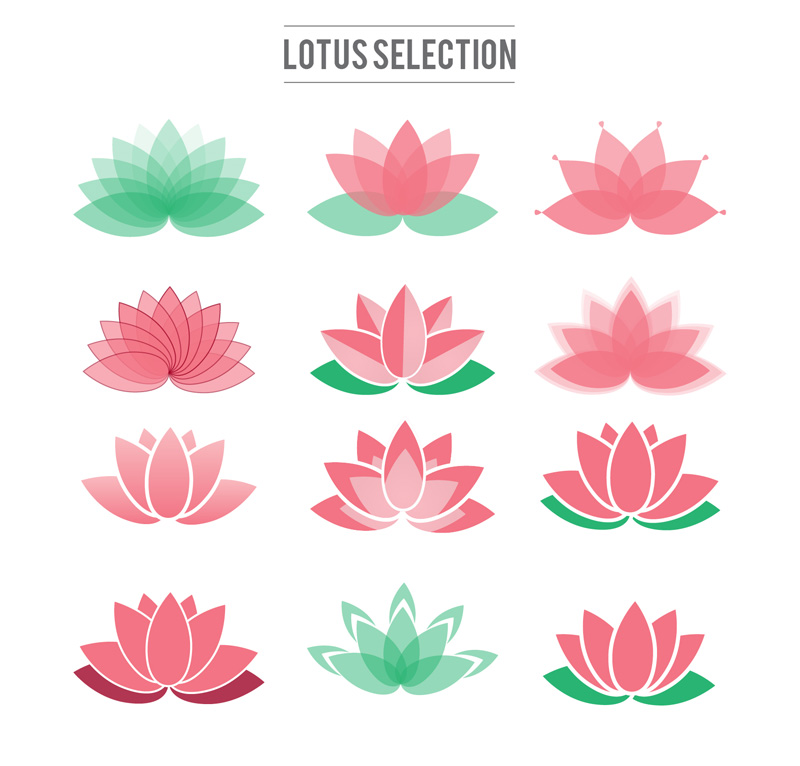 12 creativo de loto icono material de vectores