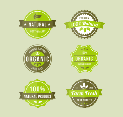 6 etiquetas de los alimentos orgnicos verde material de vectores