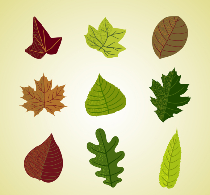 9 hojas de color diseño de material de vectores