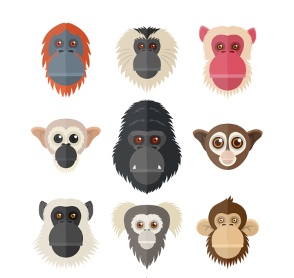 9 mono creativo y material de vectores de avatar orangut¨¢n