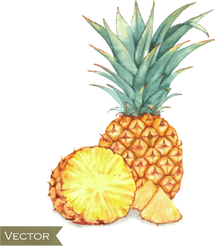 Pintado delicioso material de la piña vector