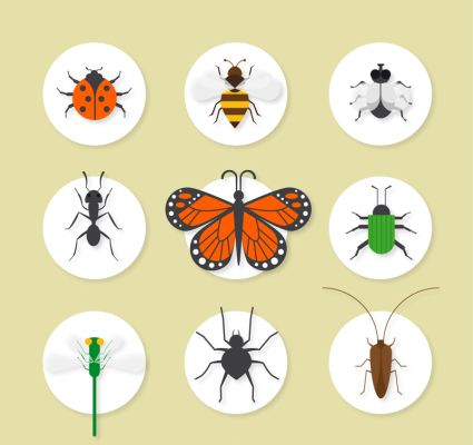 9 material exquisito icono vector icono