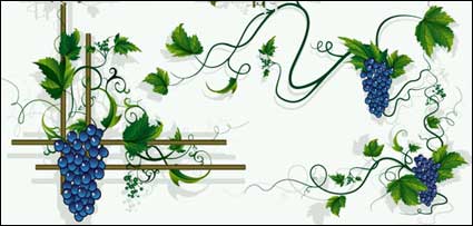 Las uvas, las vides de uva, mosto de uva material vector frontera de la hoja