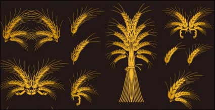 Europea vector elemento material decorativo de oro
