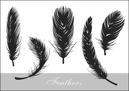 pluma realista silueta vector