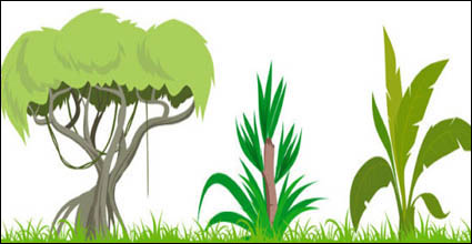 Árbol vector material de la asignatura