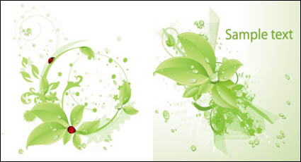 Vectoriales mariquita gotas verdes material foliar