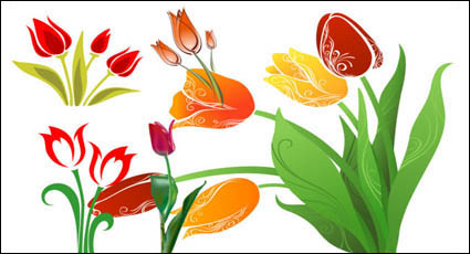 Tulip material de vectores