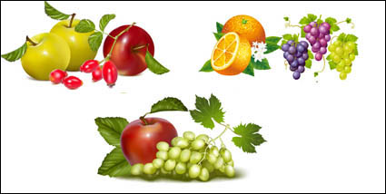 Fruto de material de vectores