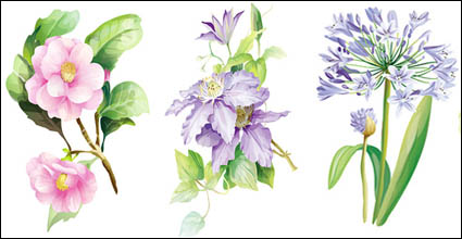 7 elegantes flores de acuarela material de vectores