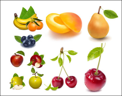 AI Dibujo vectorial fruta realistas