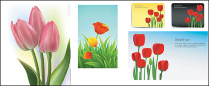 Tulipanes vector de material