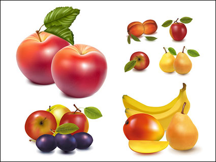 Realistas vectores de frutas de material