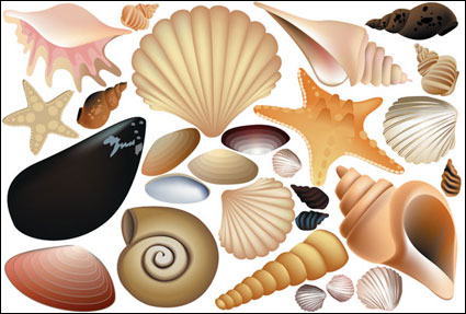 Vector de colores de Shell