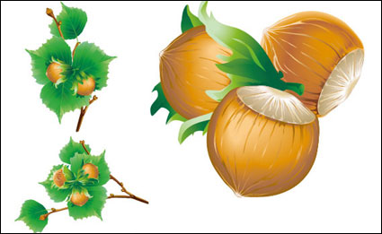 Vector cinco castañas