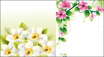 Vector de las fronteras de flores \ u0026amp; fondo