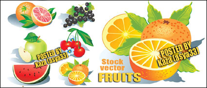 Vector Frutas