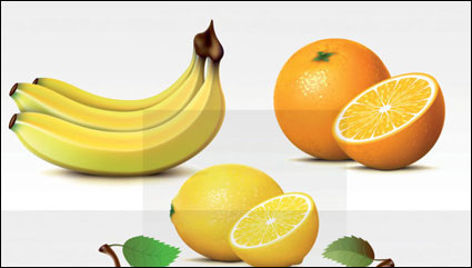 Vector de fruta fresca