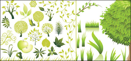 Verde Vector