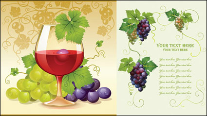 Uvas Vector