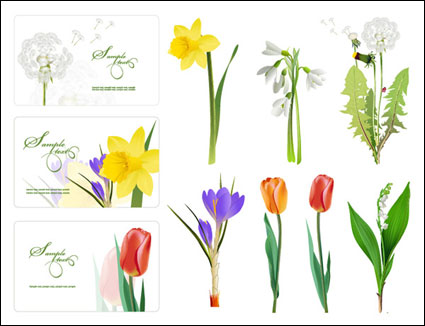 Algunas flores del vector