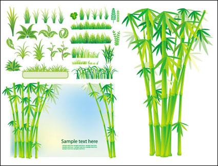 Vector de plantas de bamb hierba
