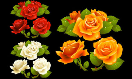 ¡Qu hermosa rosa Vector