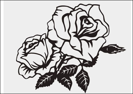 Patrn Rose vector material