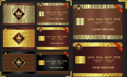 Magnfico Jinzun tarjeta VIP - Vector